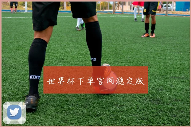 世界杯下单官网稳定版
