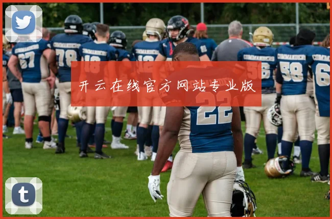 开云在线官方网站专业版