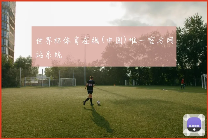 世界杯体育在线(中国)唯一官方网站系统