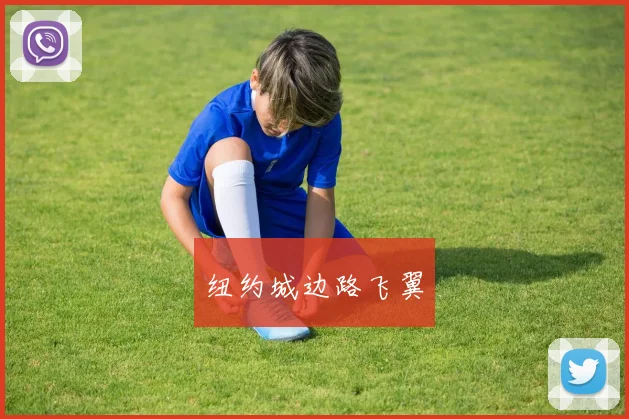 纽约城边路飞翼