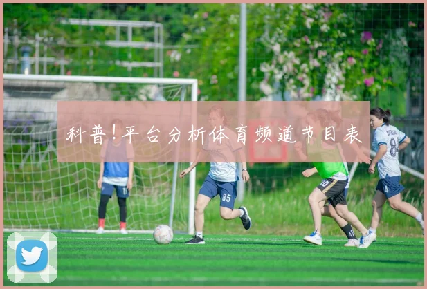 科普!平台分析体育频道节目表
