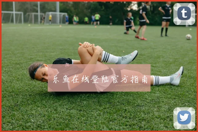 乐鱼在线登陆官方指南