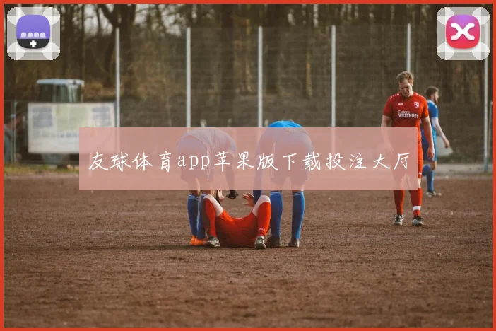 友球体育app苹果版下载投注大厅