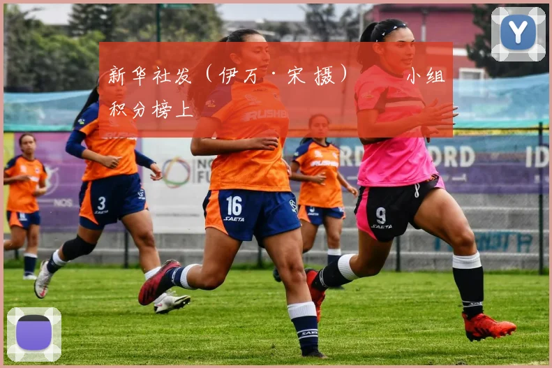 新华社发（伊万·宋 摄）　　小组积分榜上
