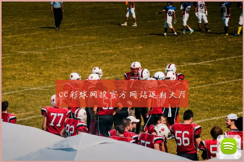 cc彩球网投官方网站返利大厅