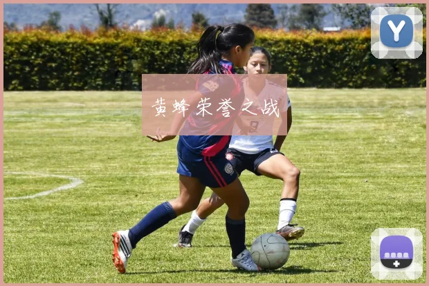 黄蜂荣誉之战