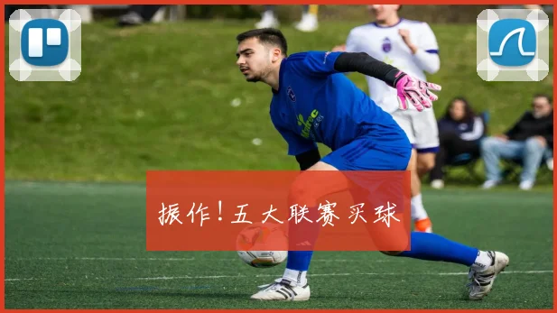 振作!五大联赛买球