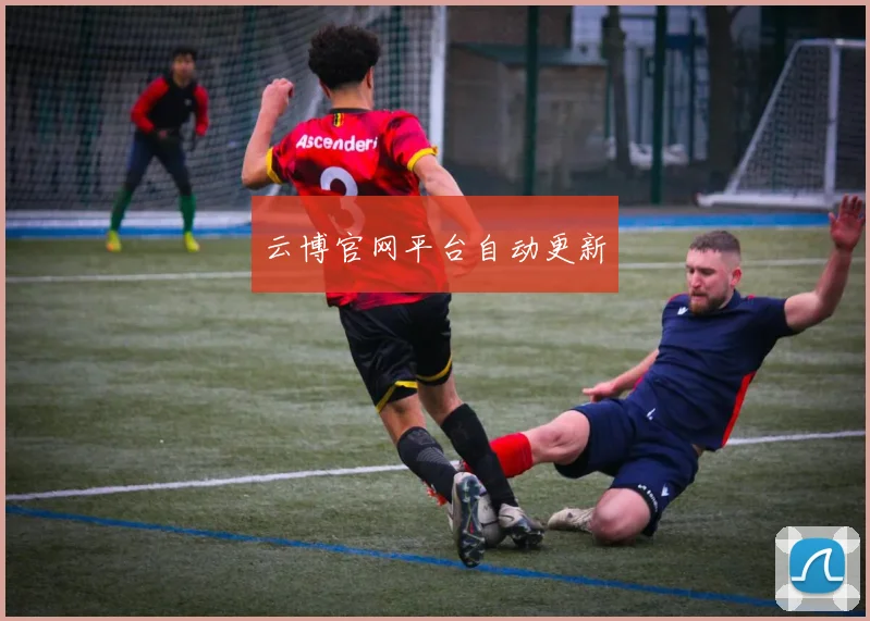 云博官网平台自动更新
