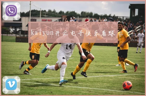 kaiyun开云电子快乐看球