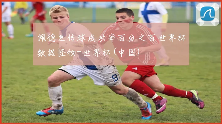 佩德里传球成功率百分之百世界杯数据怪物-世界杯(中国)