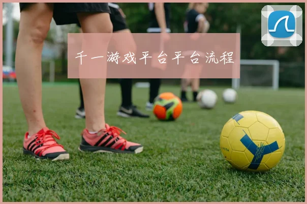 千一游戏平台平台流程