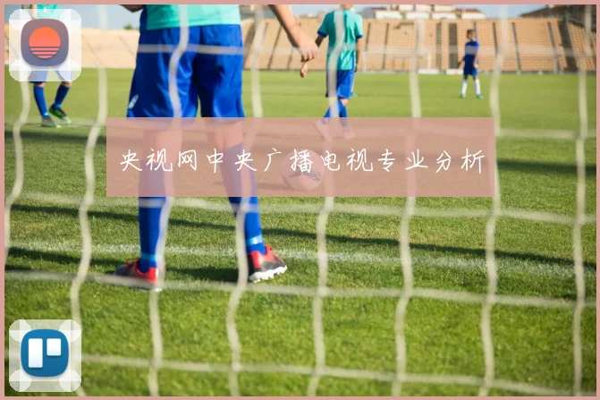 央视网中央广播电视专业分析