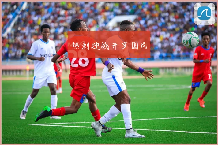 热刺迎战开罗国民