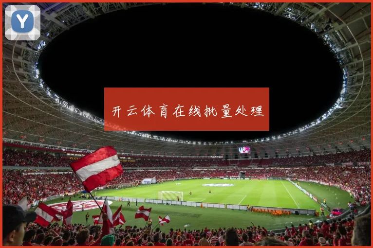 开云体育在线批量处理