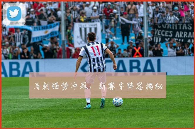 马刺强势冲冠，新赛季阵容揭秘
