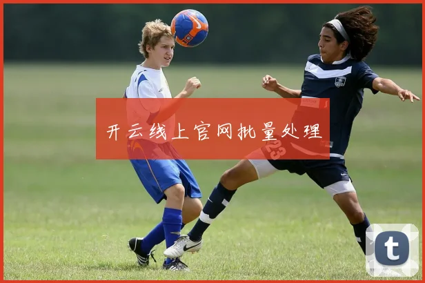 开云线上官网批量处理