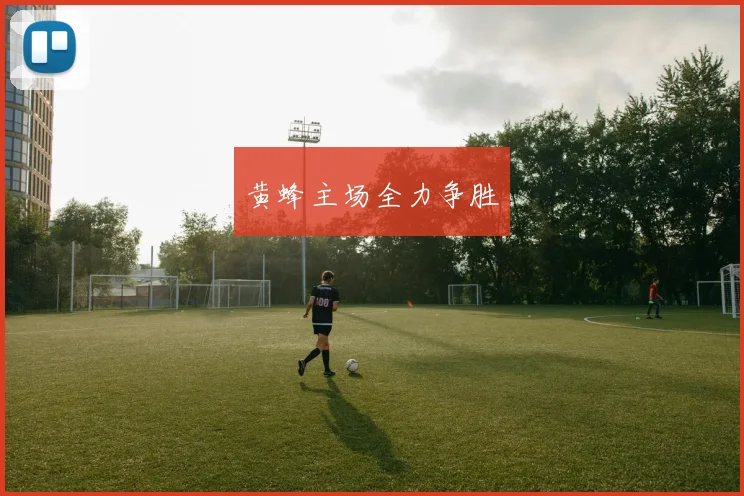 黄蜂主场全力争胜