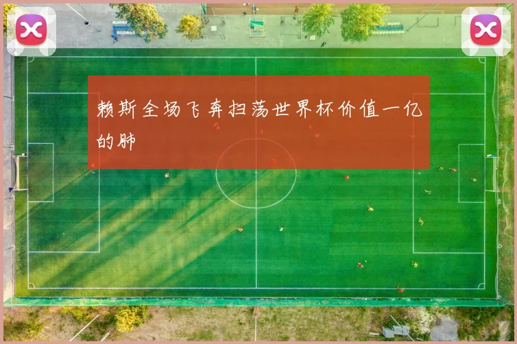 赖斯全场飞奔扫荡世界杯价值一亿的肺