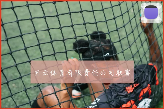 开云体育有限责任公司联赛