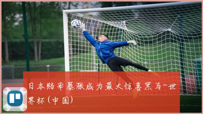 日本赔率暴涨成为最大惊喜黑马-世界杯(中国)