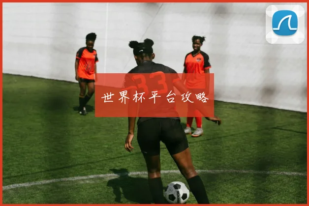 世界杯平台攻略
