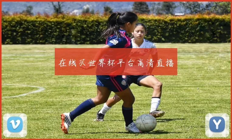 在线买世界杯平台高清直播
