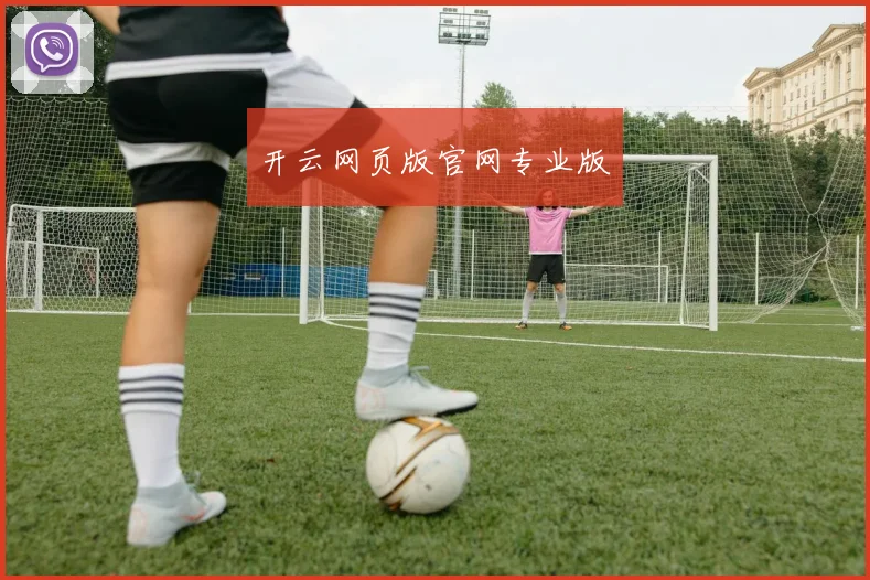 开云网页版官网专业版