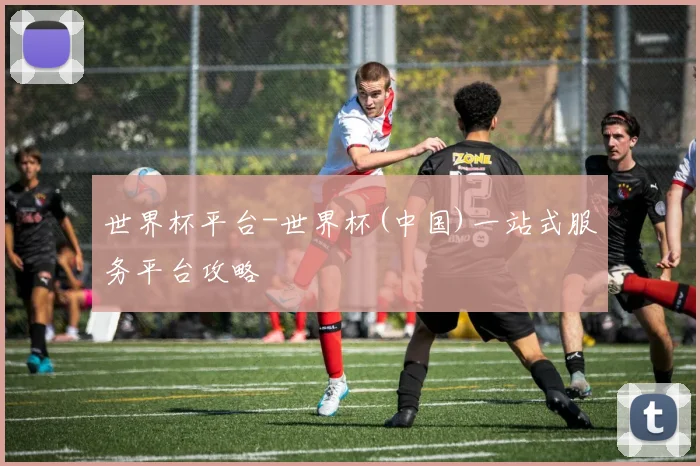 世界杯平台-世界杯(中国)一站式服务平台攻略