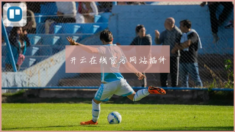 开云在线官方网站插件