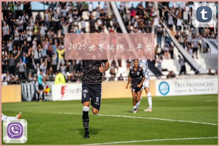 2025世界杯线上平台