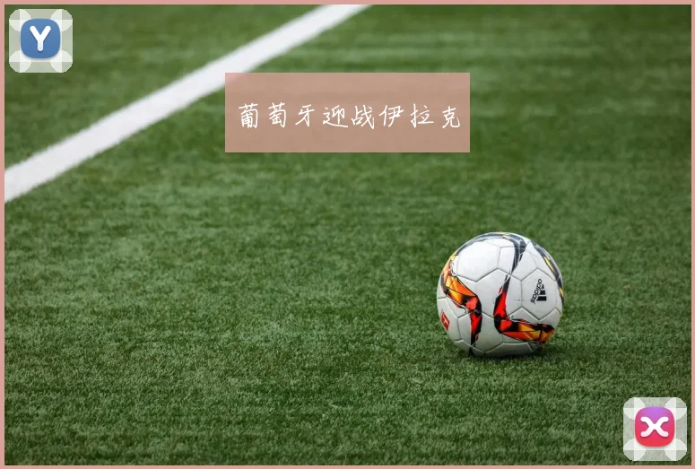 葡萄牙迎战伊拉克