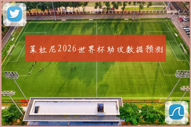 莱杜尼2026世界杯助攻数据预测