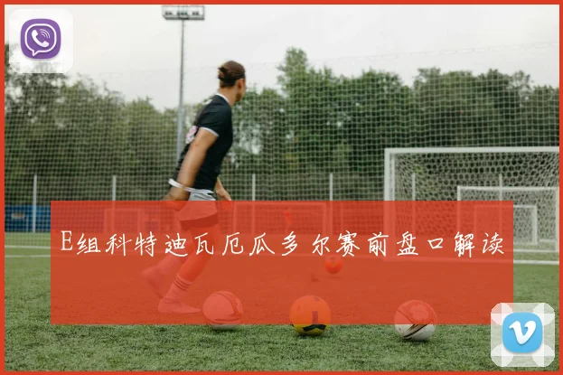 E组科特迪瓦厄瓜多尔赛前盘口解读