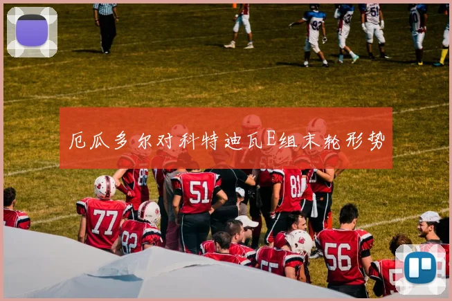 厄瓜多尔对科特迪瓦E组末轮形势
