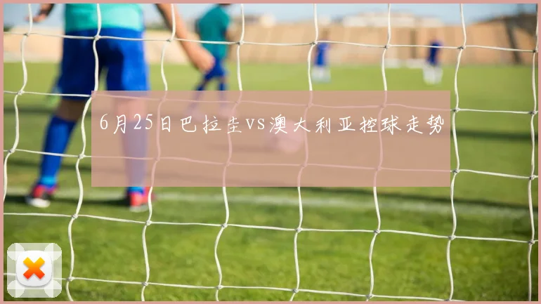 6月25日巴拉圭vs澳大利亚控球走势