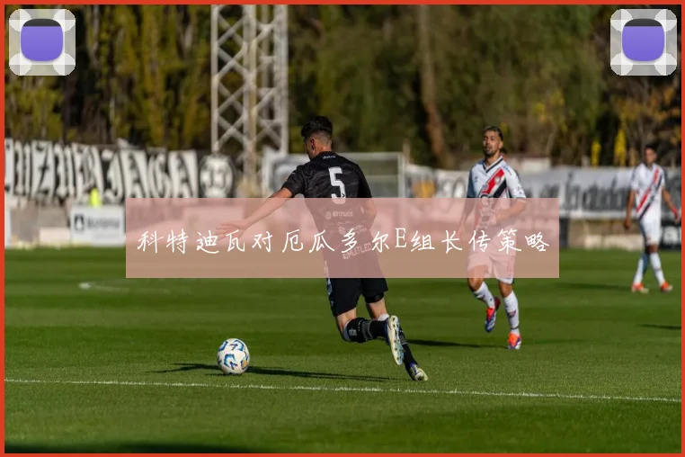 科特迪瓦对厄瓜多尔E组长传策略