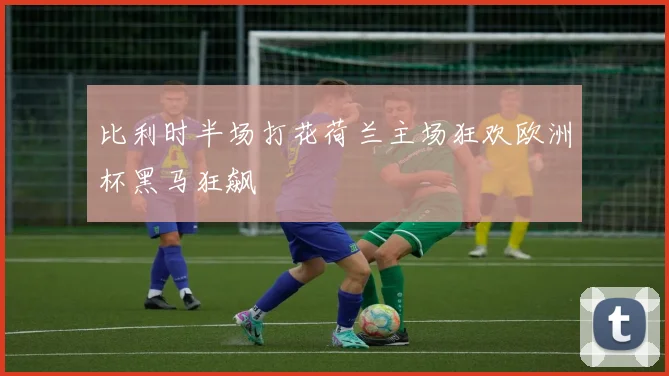 比利时半场打花荷兰主场狂欢欧洲杯黑马狂飙
