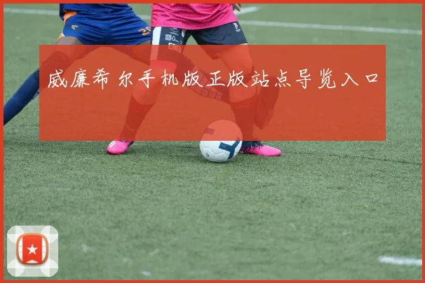 威廉希尔手机版正版站点导览入口