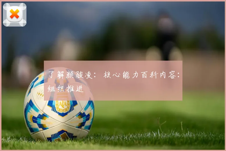 了解颜骏凌：核心能力百科内容：组织推进